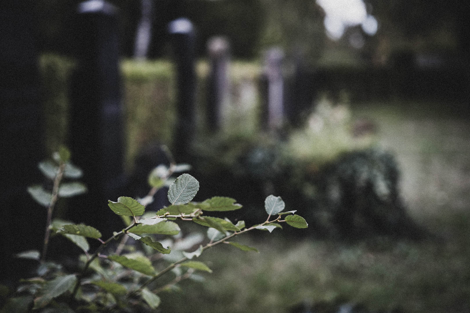 Wieseck, Jüdischer Friedhof